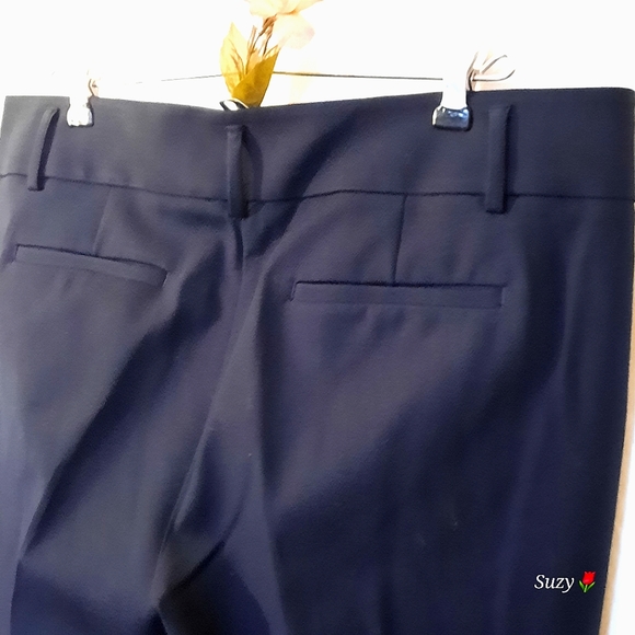 LOFT ANN TAYLOR Marisa Ankle, Navy Pants, Ankle Zip - Picture 3 of 10